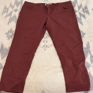 Democracy Burgundy Cropped Pants